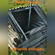 Постер книги Данилов колодец