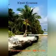 Постер книги Пропавший Боинг 2117. Остров