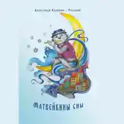 Постер книги Матвейкины сны