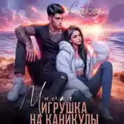 Постер книги Милая игрушка на каникулы