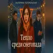 Постер книги Тепло среди снегопада