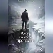 Постер книги Амур на краю пропасти