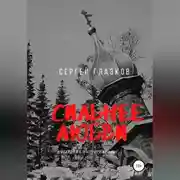 Постер книги Сильнее любви. Валаам