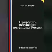Постер книги Природно-ресурсный потенциал России