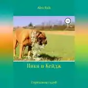 Постер книги Ники и Кейдж. Горизонты судеб