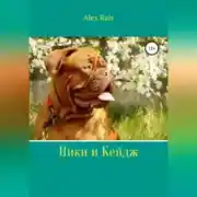 Постер книги Ники и Кейдж