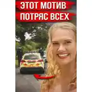 Постер книги Тело найдено в лесной чаще