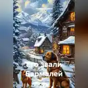 Постер книги Его звали Бармалей