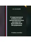 Сергей Каледин - Современное социально-экономическое развитие Российской Федерации