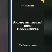 Постер книги Экономический рост государства
