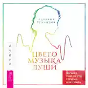 Постер книги Цветомузыка души. Физика тонких тел глазами психолога