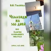 Постер книги ЧЕЛЛЕНДЖ НА 366 ДНЕЙ или Заметки начинающего писателя. Часть 2