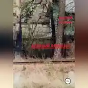 Постер книги Бедный Михаил