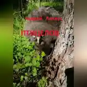 Постер книги Птицелов