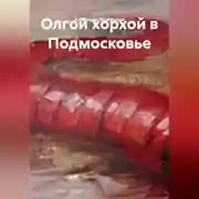 Постер книги Олгой хорхой в Подмосковье.