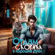 Постер книги Отдам (с)котика в хорошие руки