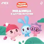Постер книги Малышарики. Модница и другие истории