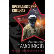 Постер книги Ангелы сирийского неба