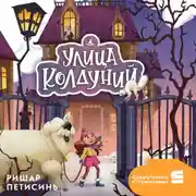 Постер книги Улица Колдуний