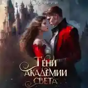 Постер книги Тени академии Света