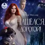 Постер книги Нашёлся, дорогой!