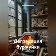 Постер книги Деградация буржуйки