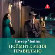 Постер книги Поймите меня правильно