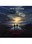 Петр Селезнев - Смертельный перелет
