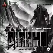 Постер книги Джинн