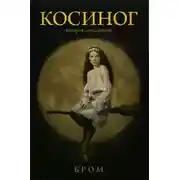 Постер книги Косиног. История о колдовстве