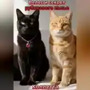 Постер книги Велес и секрет рубинового колье