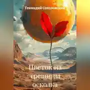 Постер книги Цветок из трещины осколка