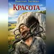 Постер книги Красота