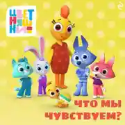 Постер книги Цветняшки. Что мы чувствуем?