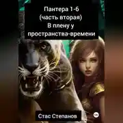 Постер книги Пантера 1-6. Часть вторая. В плену у пространства-времени