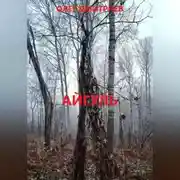 Постер книги Айгуль