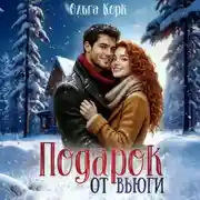 Постер книги Подарок от вьюги