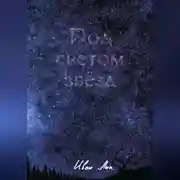 Постер книги Под светом звёзд