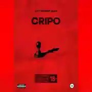 Постер книги CRIPO