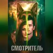 Постер книги Смотритель