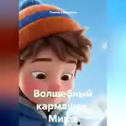 Постер книги Волшебный кармашек.Миша.