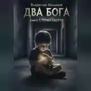 Постер книги ДВА БОГА. Книга 1: ТОЧКА СМЕРТИ