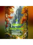 Алексей Беляев - 4 сферы здоровья