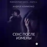 Постер книги Психология секса. Книга 6. Секс после измены.