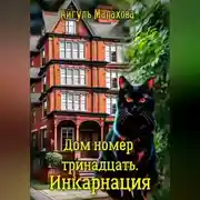 Постер книги Дом номер тринадцать. Инкарнация