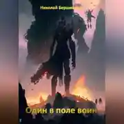 Постер книги Один в поле воин