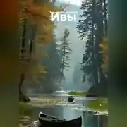 Постер книги Ивы.