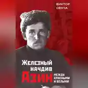 Постер книги Железный начдив Азин. Между красными и белыми