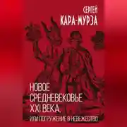 Постер книги Новое средневековье XXI века, или Погружение в невежество
