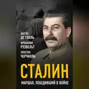 Постер книги Сталин. Маршал, победивший в войне